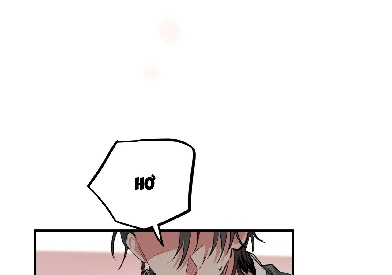 đàn thỏ của habibi chapter 21 72