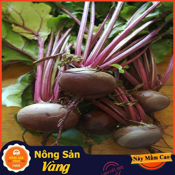 Hạt giống Củ Dền Đỏ
