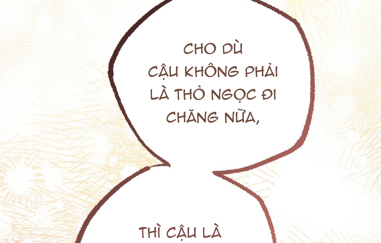 đàn thỏ của habibi chapter 26 203