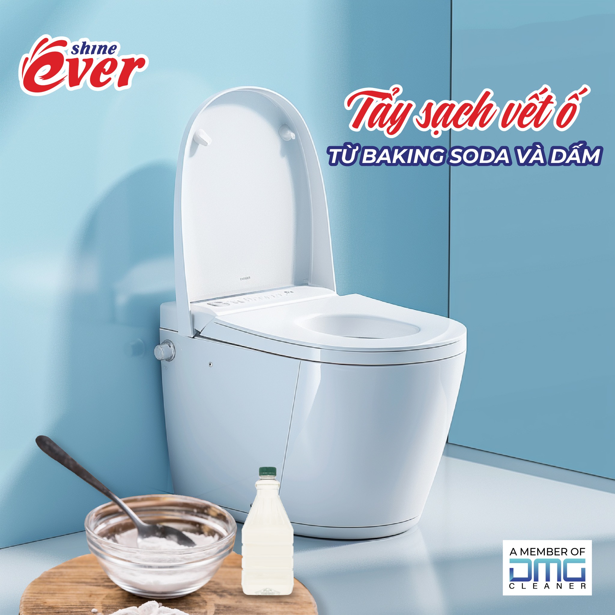 Combo 3 vỉ viên treo bồn cầu Evershine gồm 2 vỉ hươnng Lavender và 1 vỉ hương Chanh tặng 1 kèm 1 vỉ hương Chanh