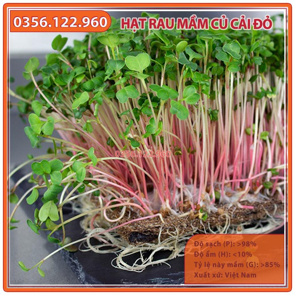 Combo 3 gói Hạt rau mầm rau củ cải đỏ - gói 50g - hạt tuyển chọn chất lượng cao