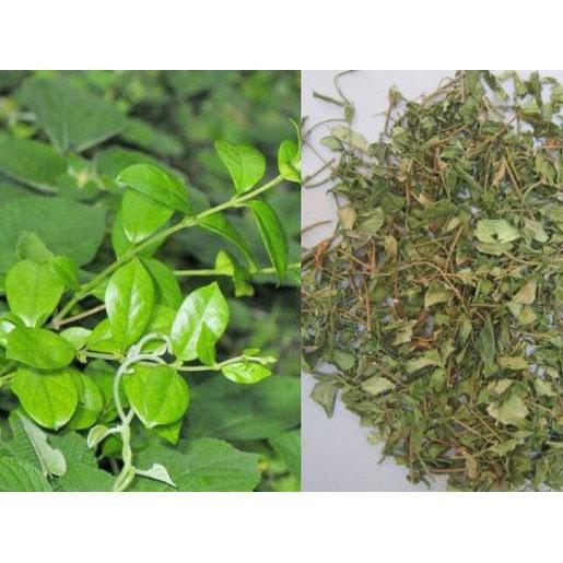 Cây thìa canh lá nhỏ giống