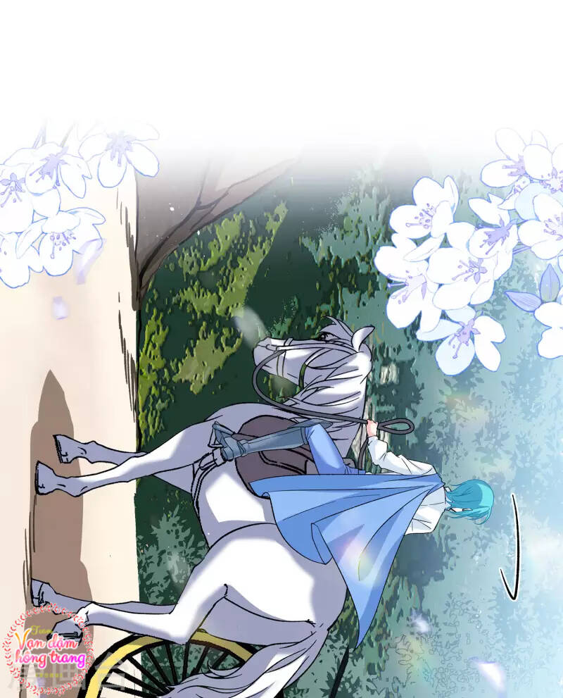 cô ấy đến rồi, xin nằm xuống! chapter 240 26