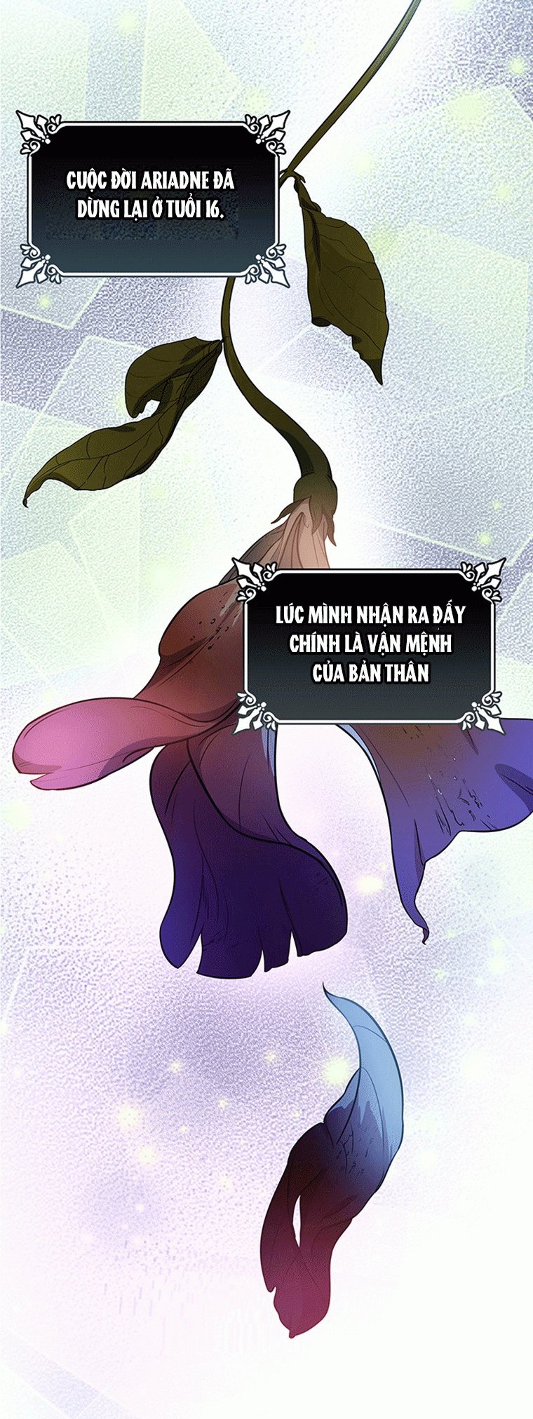 Trở Thành Cứu Tinh Của Nhân Vật Chính chapter 2.5 2