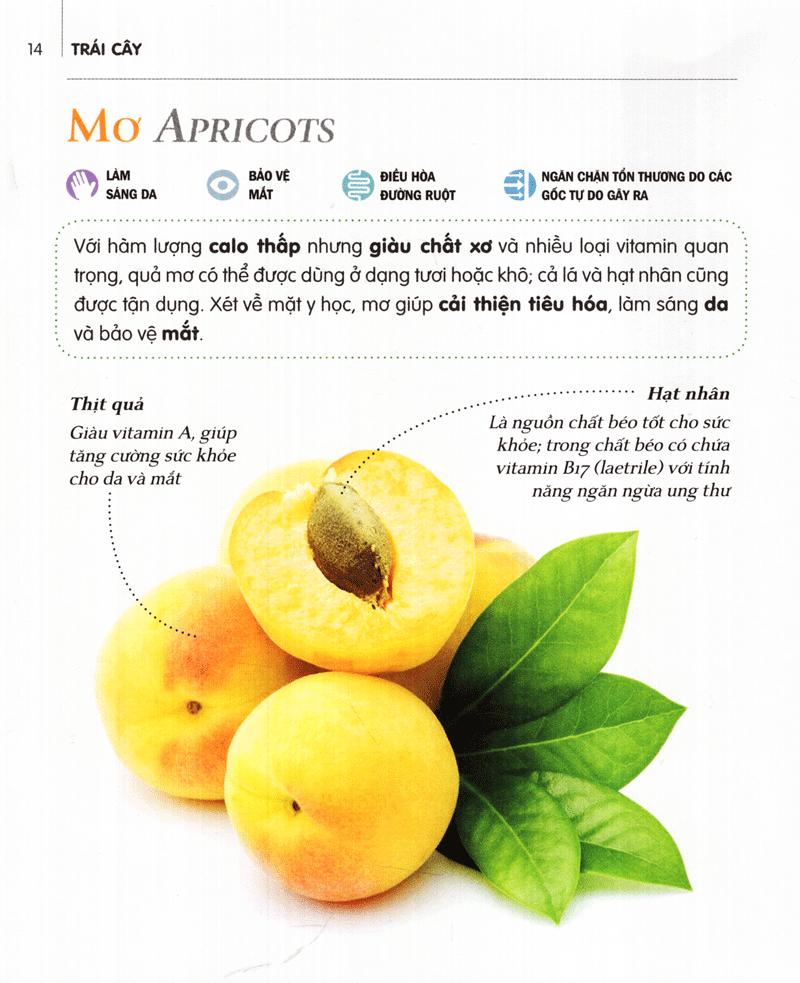 Sách Dinh Dưỡng Chữa Bệnh - Trái Cây (Tái Bản)