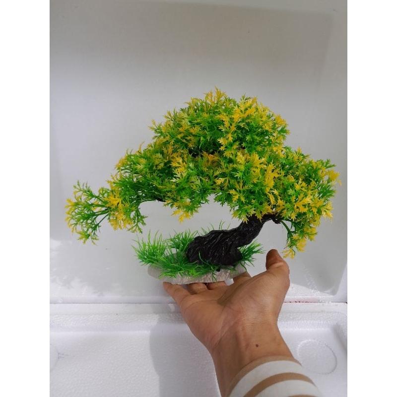 Bonsai bể cá cảnh - cây trang trí hòn non bộ tiểu canh-cây để bàn