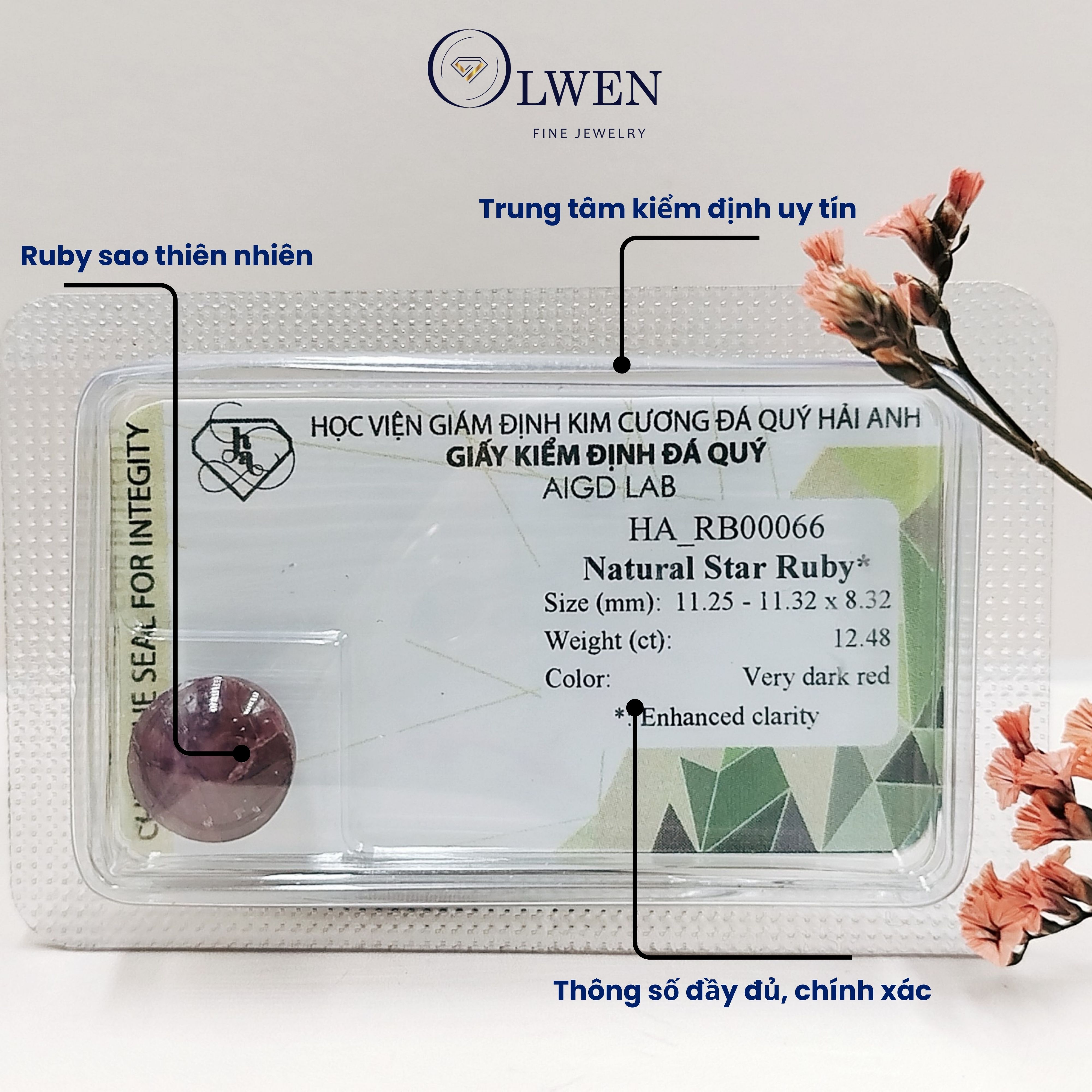 Viên đá Ruby sao thiên nhiên_HA_RB00066