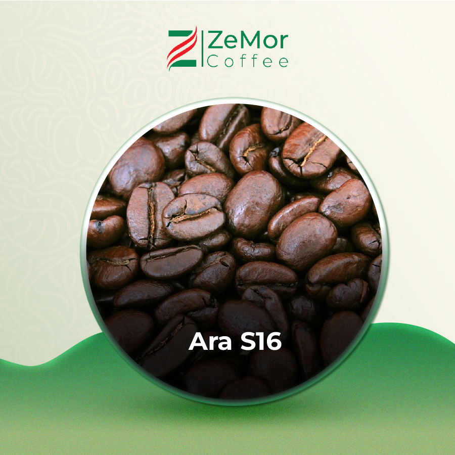 Cà Phê Arabica Ngon, Hạt To, Giá tốt - ZeMor Coffee
