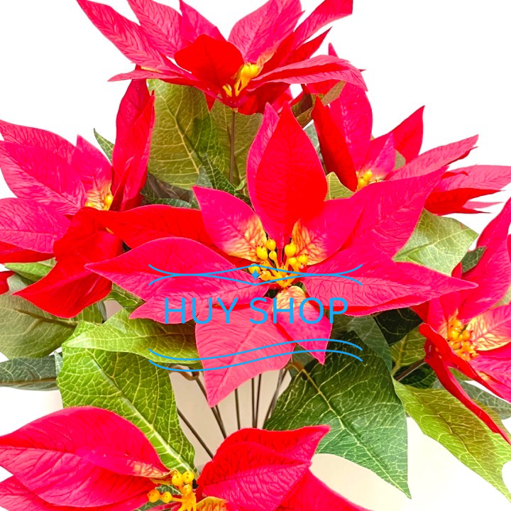 BỤI HOA TRẠNG NGUYÊN 12 NHÁNH VẢI CAO CẤP