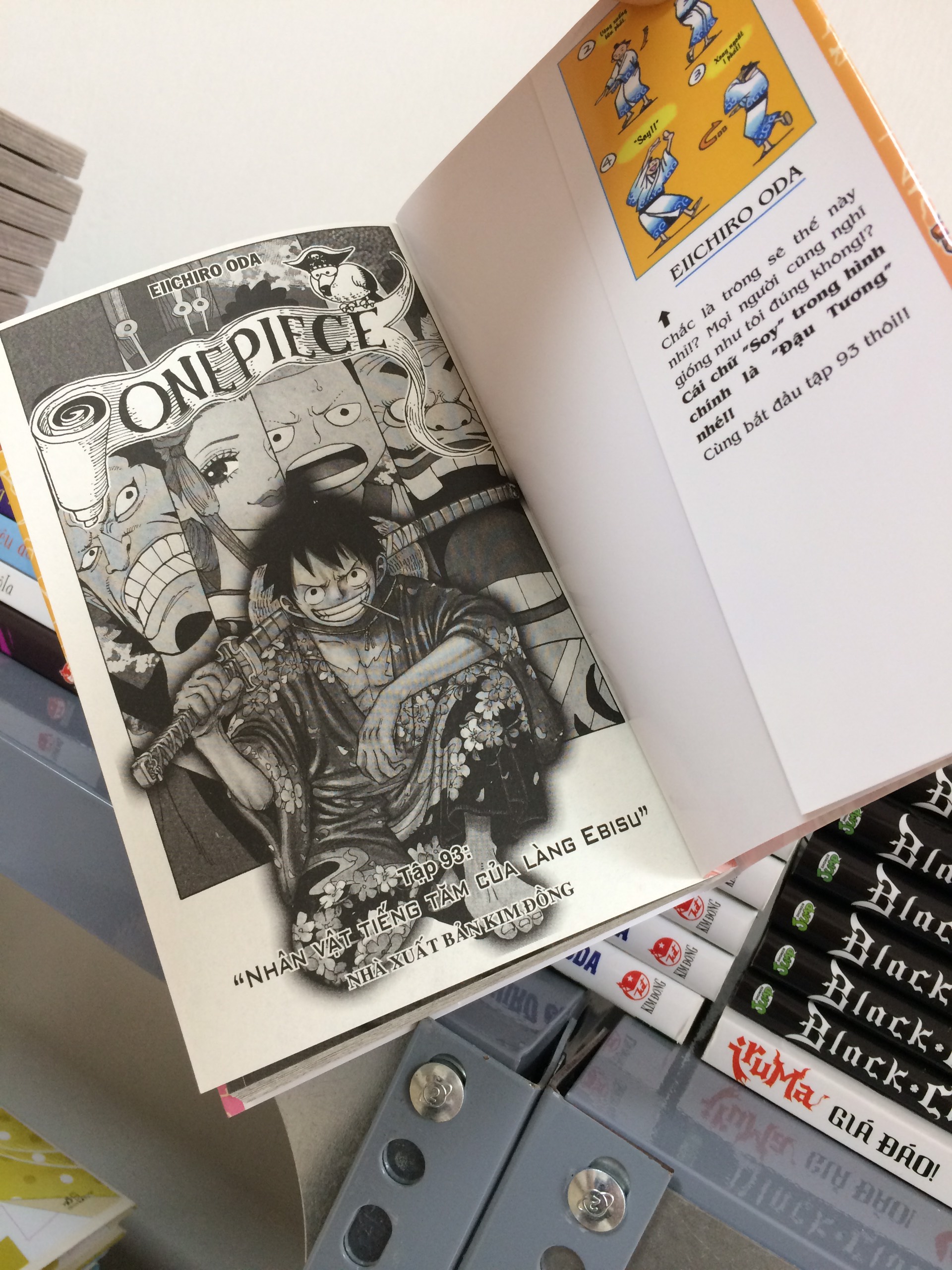 ONE PIECE - TẬP 93 (BÌA RỜI)