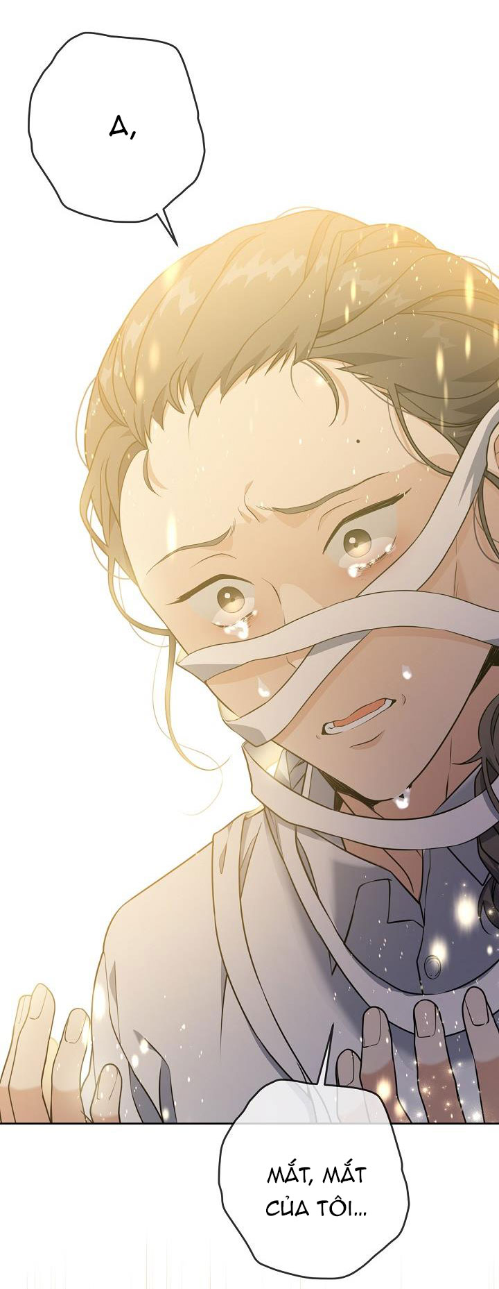 Lần Nữa Toả Sáng chapter 35.2 1