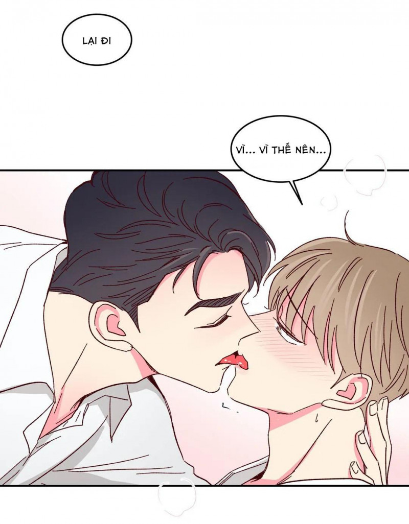 món tráng miệng của sếp tổng chapter 50 43