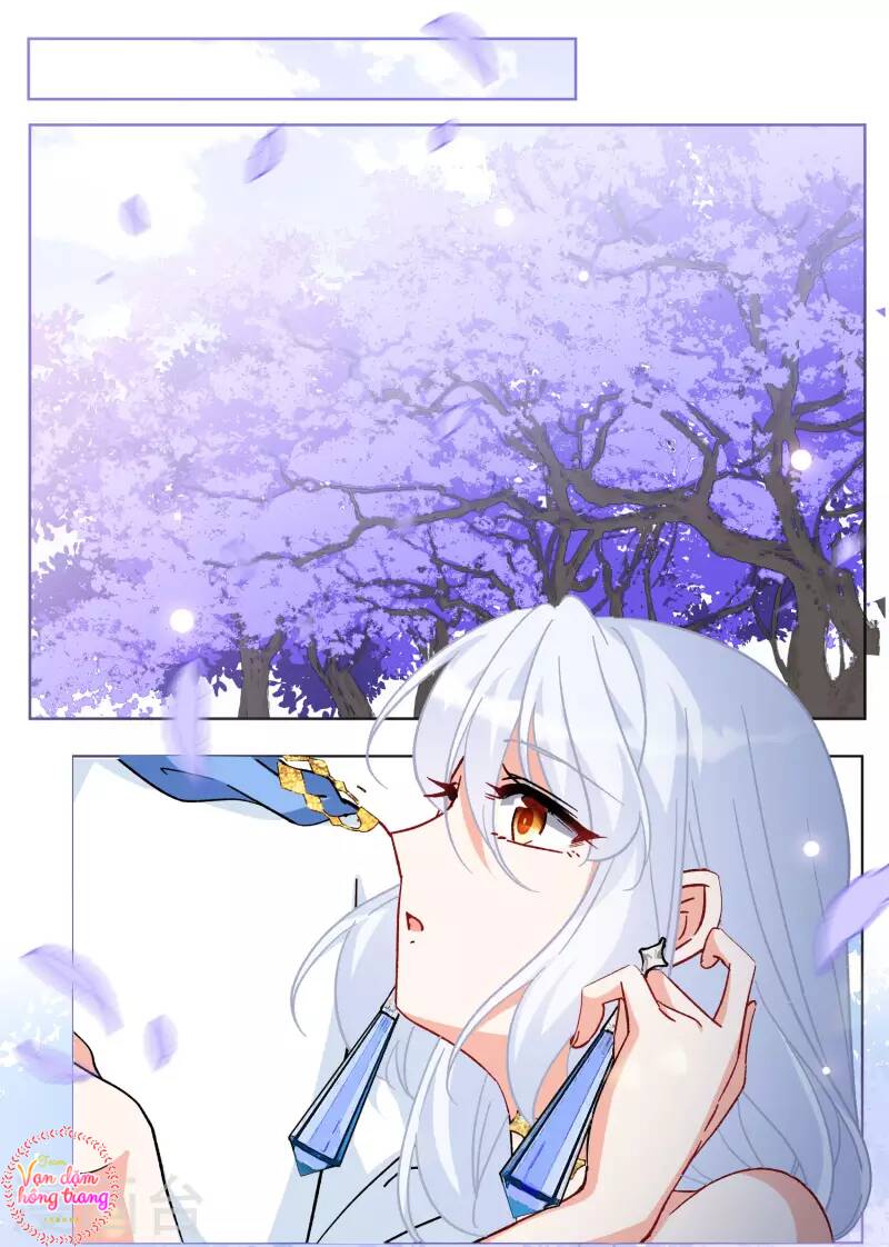 cô ấy đến rồi, xin nằm xuống! chapter 242 17