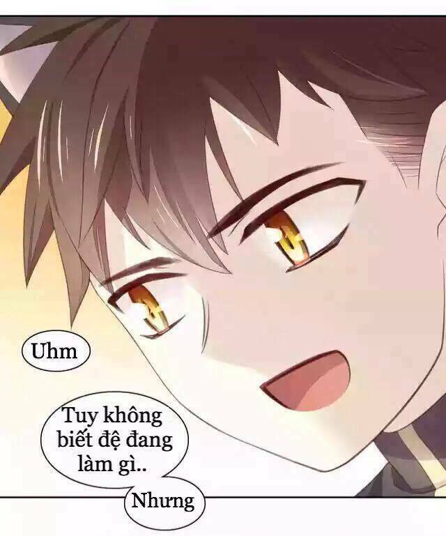 dưới móng vuốt mèo chapter 11 34