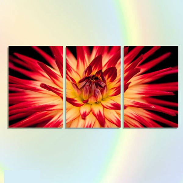 Bộ 3 Tranh Canvas Không Viền Trang Trí "Hoa Đỏ" W301