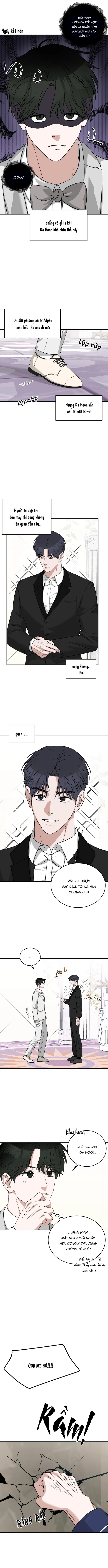 tôi không phải beta đâu nhé! chapter 1 3