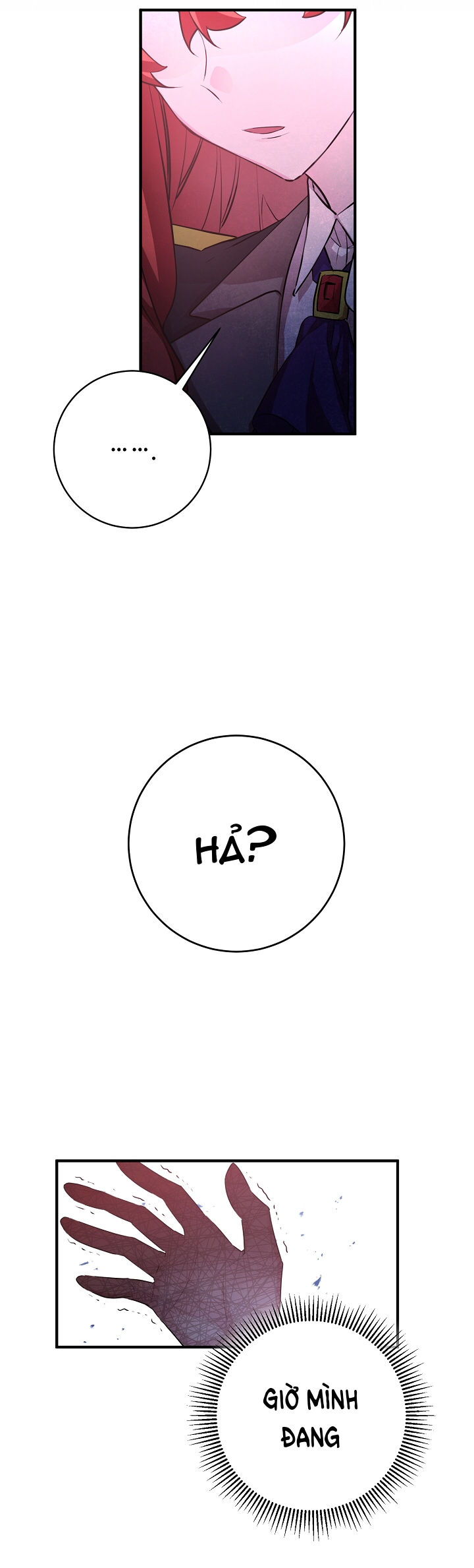 công nương đã thay đổi chapter 45.1 9