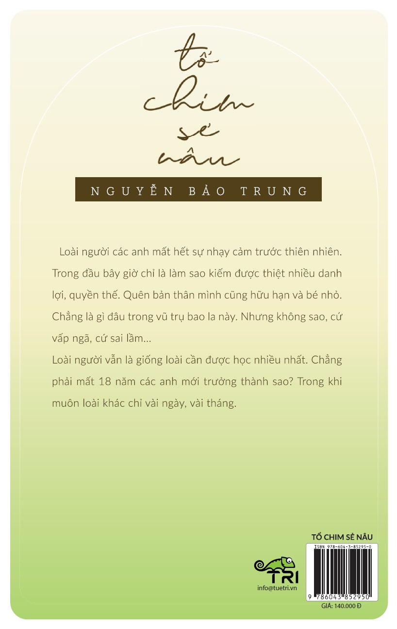 Sách - Tổ chim sẻ nâu (Nguyễn Bảo Trung) - Tuệ Tri