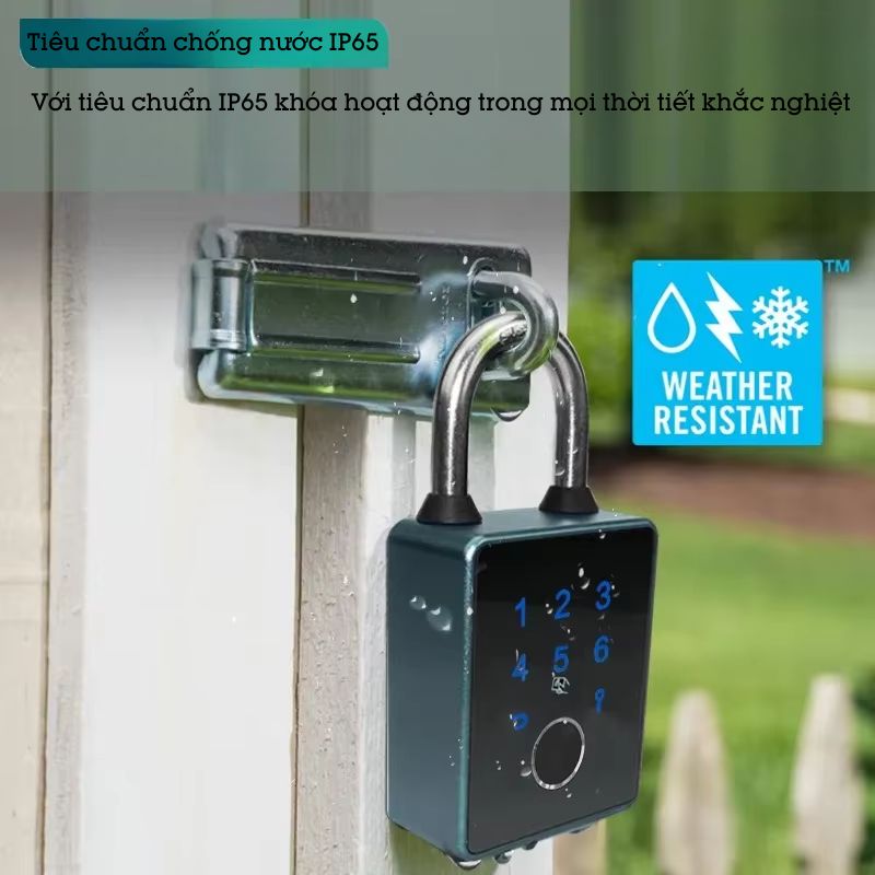 Ổ Khóa Thẻ Từ Mật Khẩu Mã Số Vân Tay Thông Minh Hỗ Trợ Chìa Cơ T55D