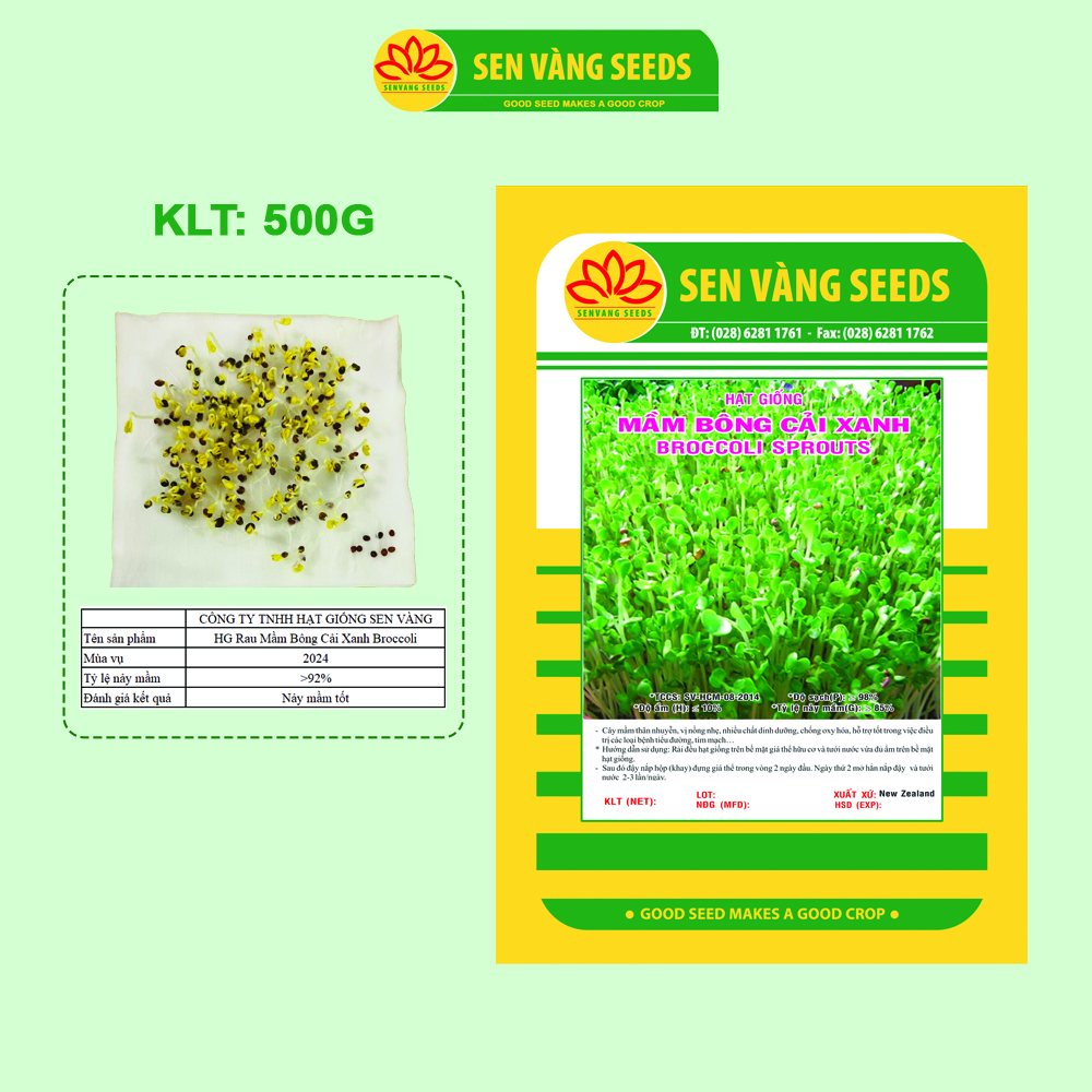 Hạt Giống Rau Mầm Bông Cải Xanh Broccoli - Hạt chắc, nảy mầm khỏe, siêu dinh dưỡng - HẠT GIỐNG SEN VÀNG