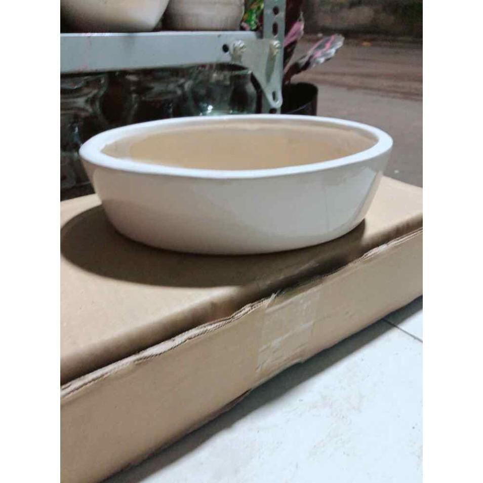 Chậu Trồng Cây Bán Chạy