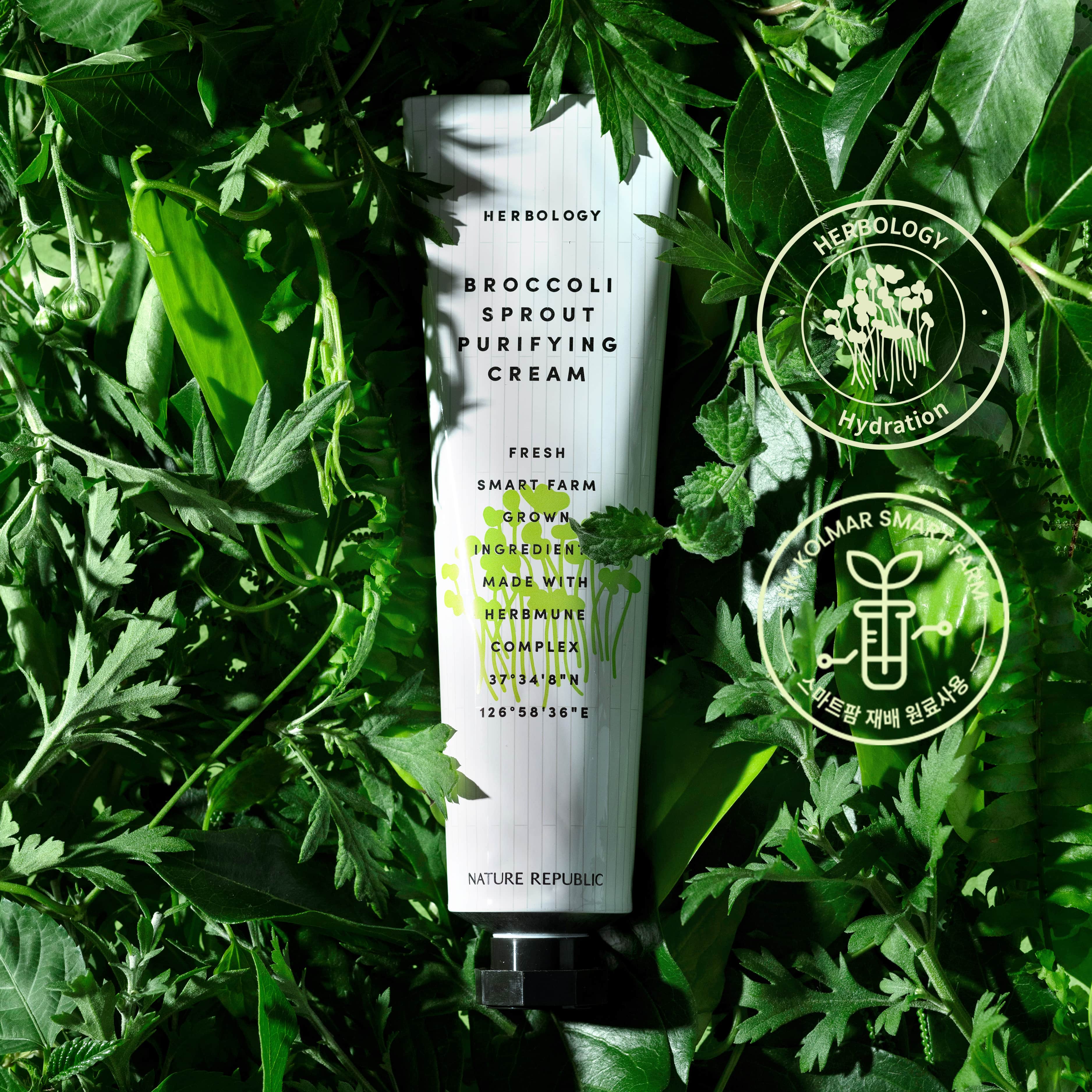 Kem dưỡng Nature Republic Herbology Broccoli Sprout Purifying Cream 70ml