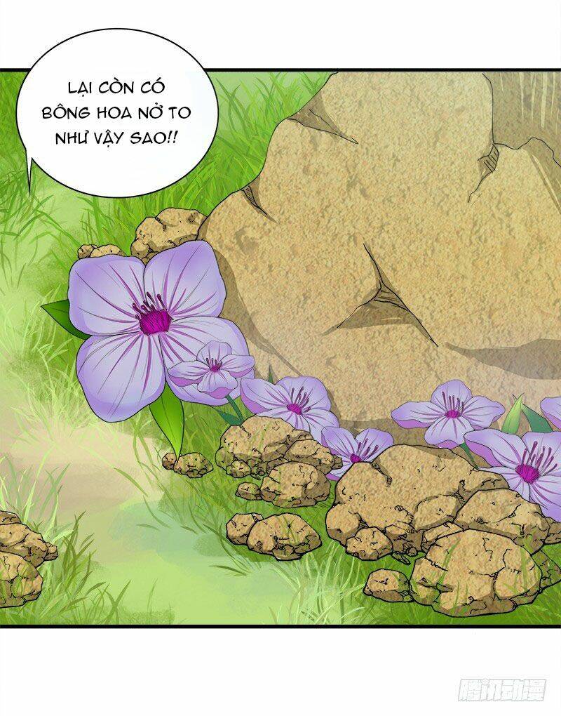 khuynh thế độc phi chapter 13 24