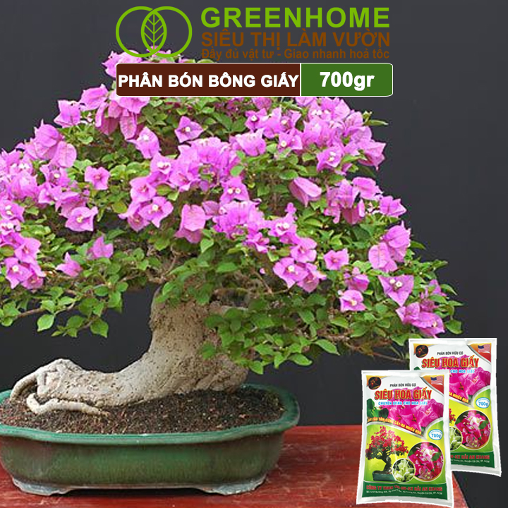 Phân Bón Hoa Giấy Greenhome, Bao 700gr, Hữu Cơ, Giúp Thân Cứng Cáp, Tạo Tán, Ra Bông Nhiều, Lâu Tàn