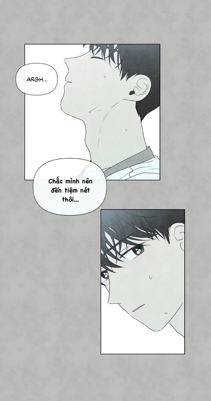 summer solstice point chapter 20 12