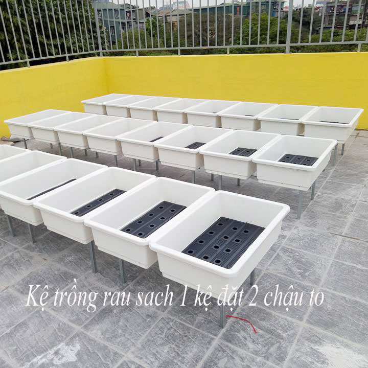 Kệ Trồng Rau 1 tầng để 2 Chậu To - Chưa Chậu
