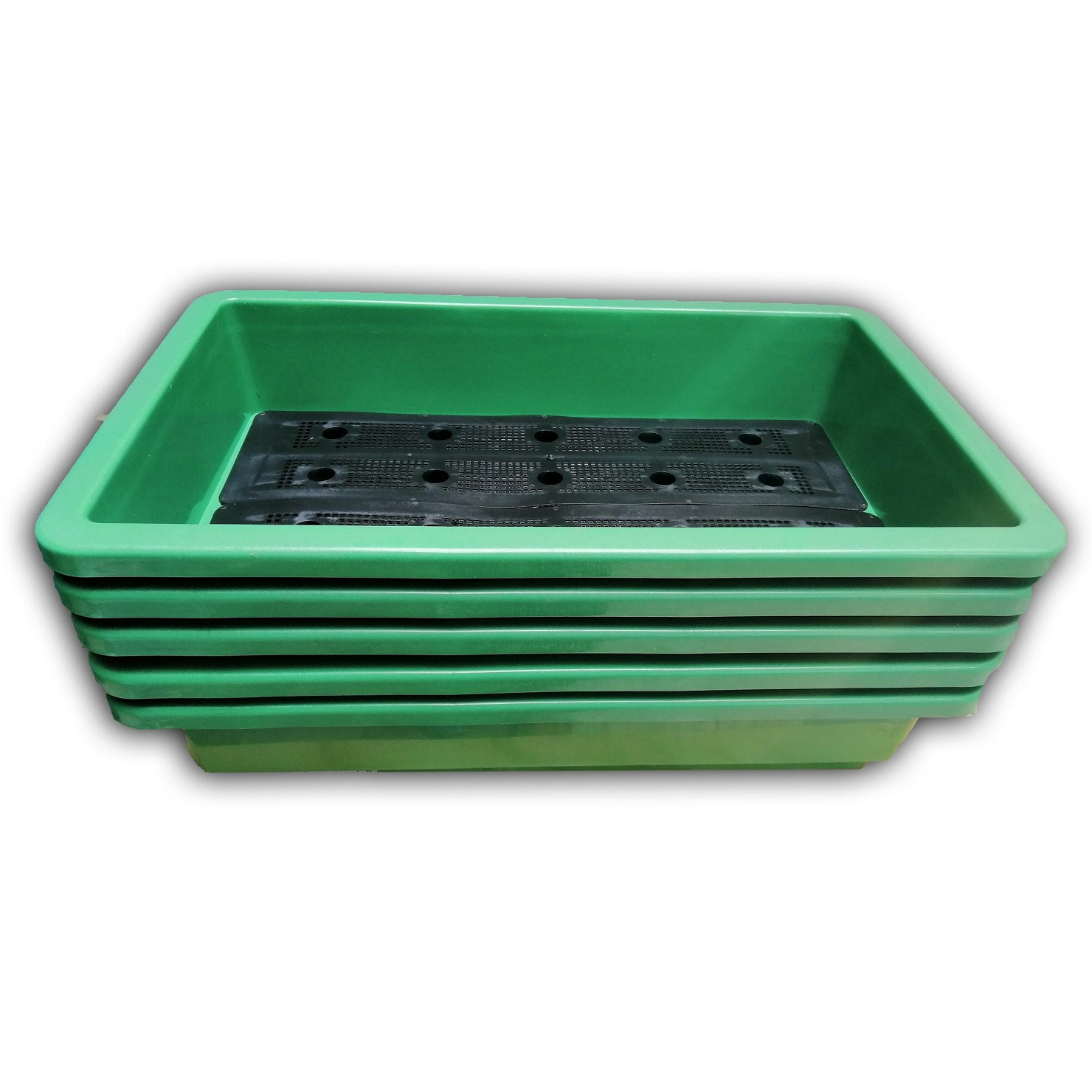5 KHAY NHỰA TRỒNG RAU KÍCH THƯỚC 68X42X15CM - MÀU XANH NGỌC