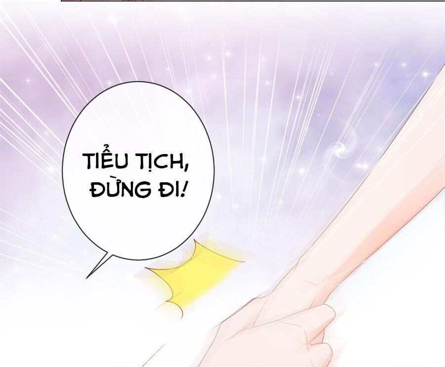 ẩn hôn 100%: chọc tức vợ yêu mua một tặng một chapter 94 14