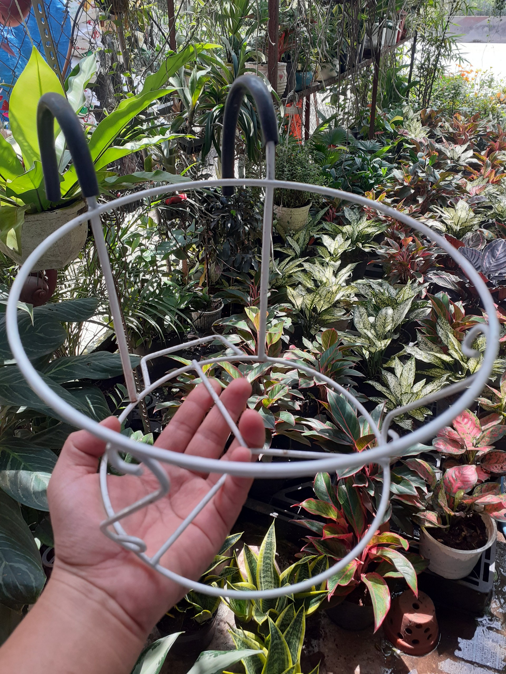 Rọ mốc treo chậu trồng lan can.