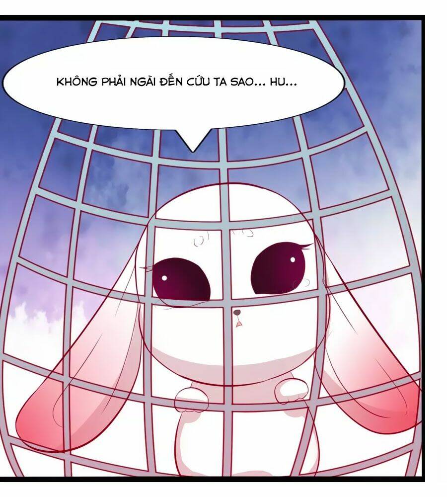 thỏ yêu tiểu vương phi chapter 54 25