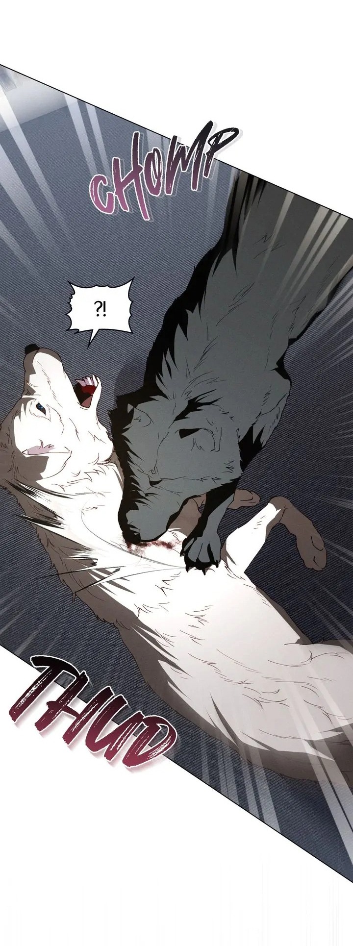 chàng người sói phát điên vì tôi chapter 56 22