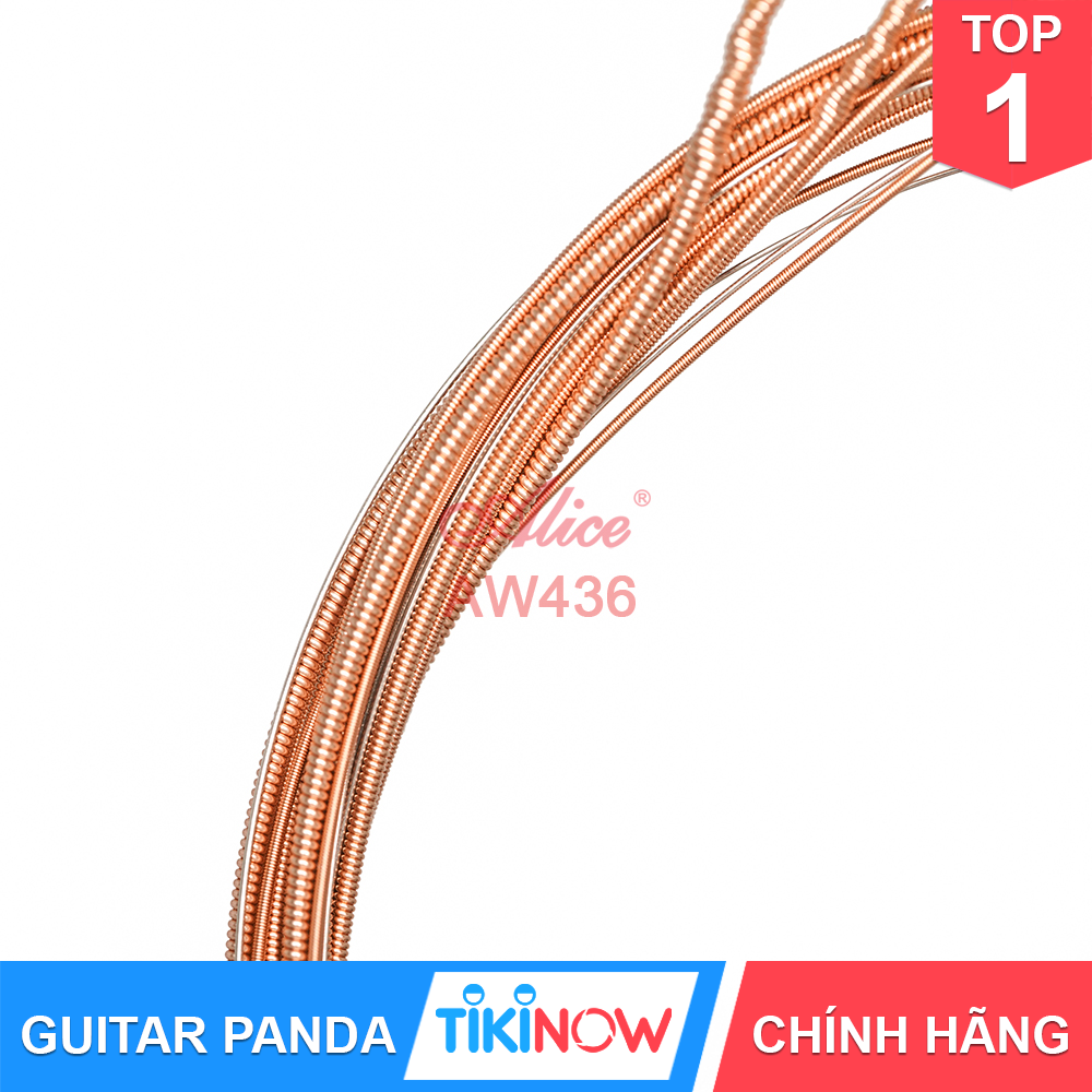 Dây Đàn Guitar Acoustic Cao Cấp Alice AW436 GUITAR PANDA