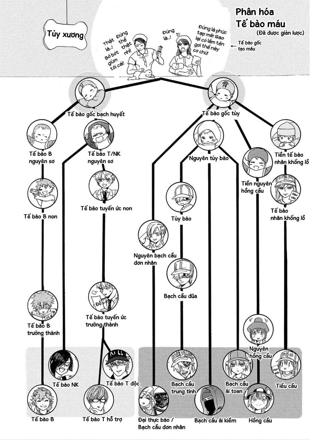 hataraku saibou! chapter 6 33