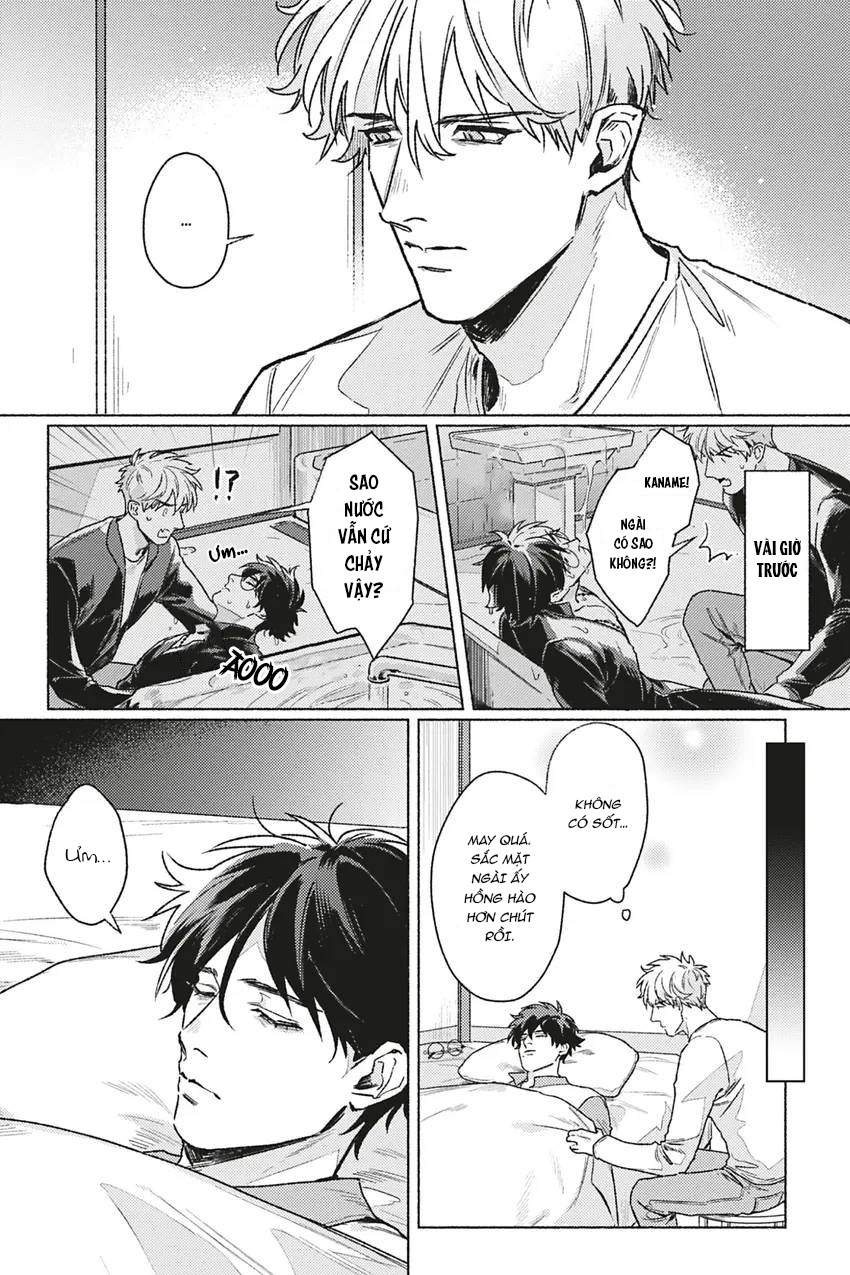 dòng máu bạch kim chapter 4 2