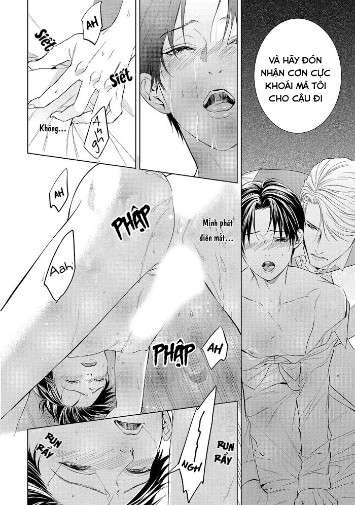 cô dâu của alpha chapter 3 12