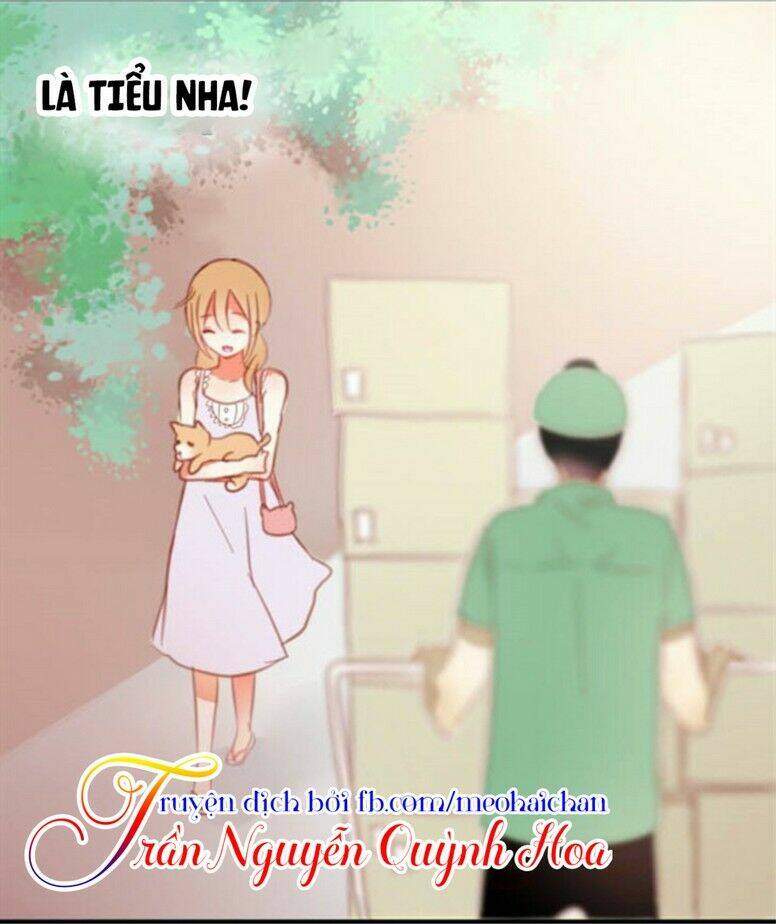 dạy kèm sau giờ học chapter 5 8