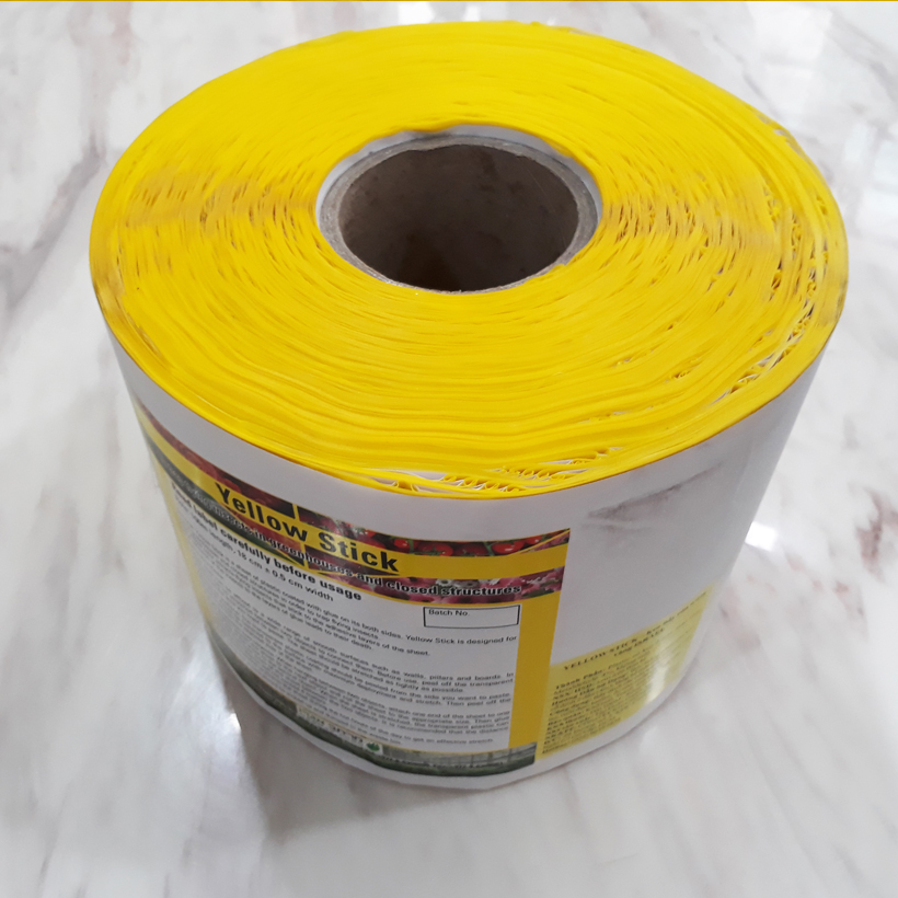 Keo Bẫy Bọ Phấn Trắng Israel Gây Hại Dưa Lưới và bẫy các loại côn trùng trong nông nghiệp khác