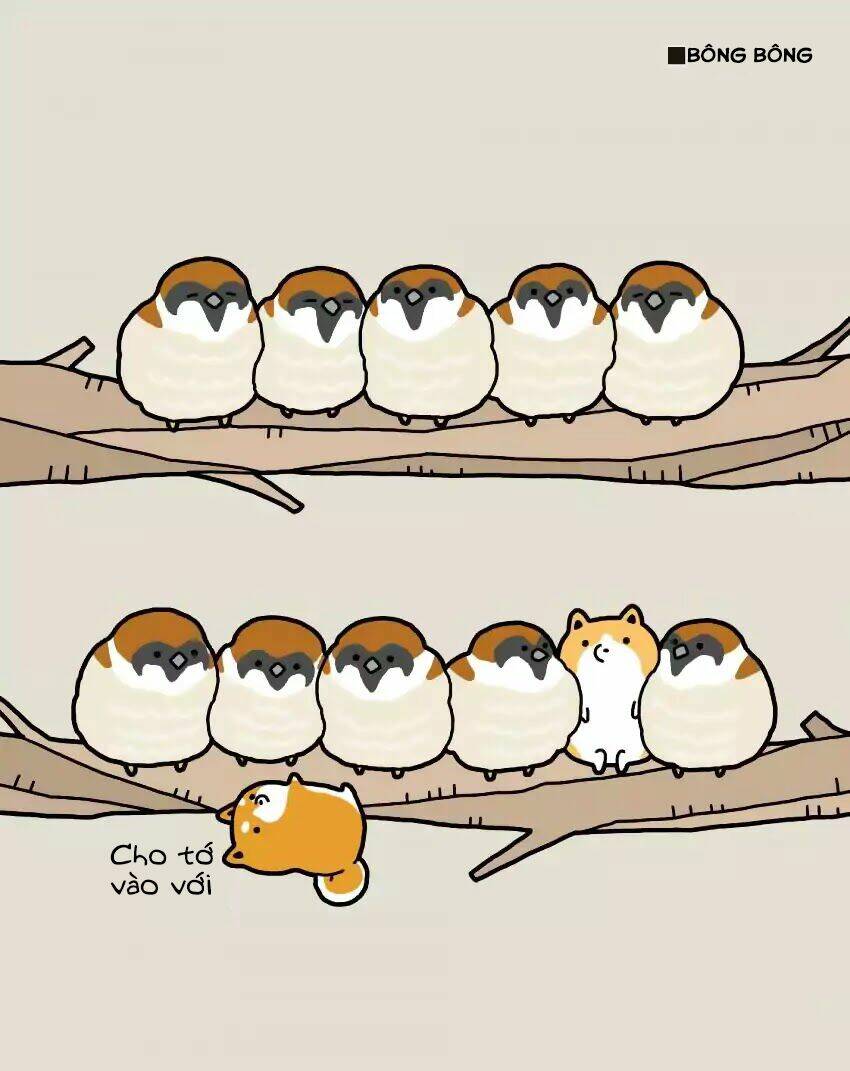 taru shiba chapter 4 7