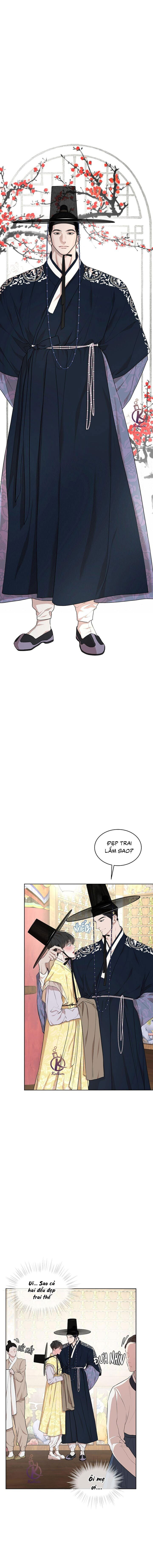 hình thái khởi sinh chapter 71 8