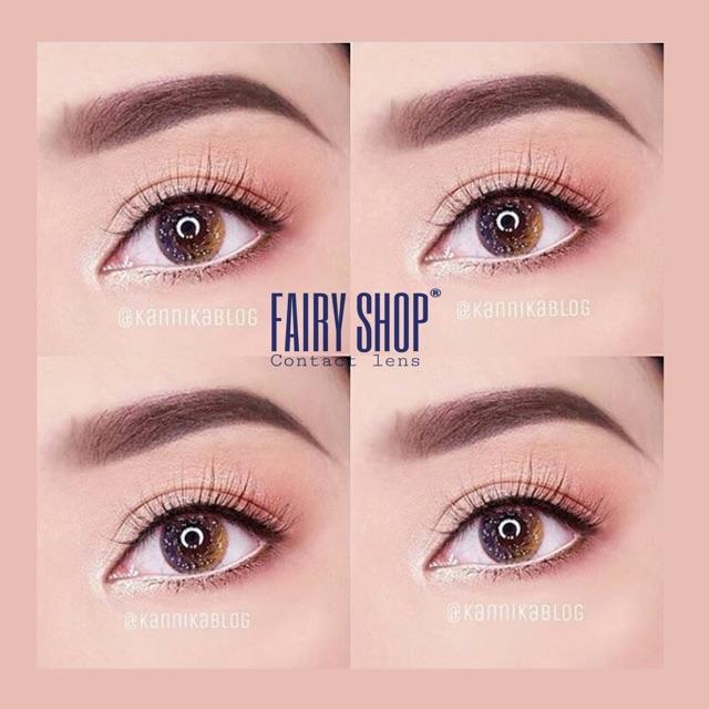 Kính Áp Tròng Qlo7 Brown 14.0mm - Kính Áp Tròng FAIRY SHOP CONTACT LENS