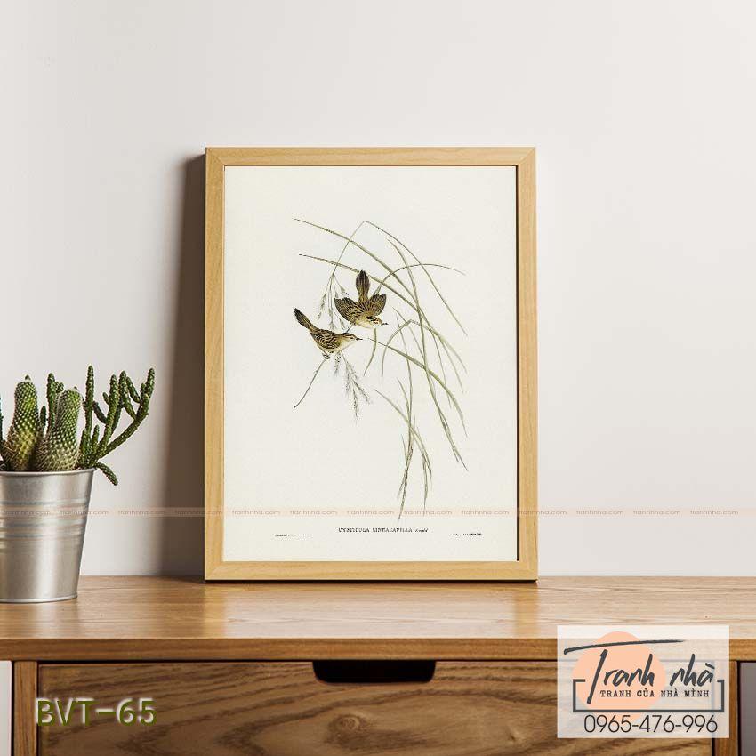 Tranh canvas vintage  - Chim sẻ (Cysticola lineocapilla) - BVT-65