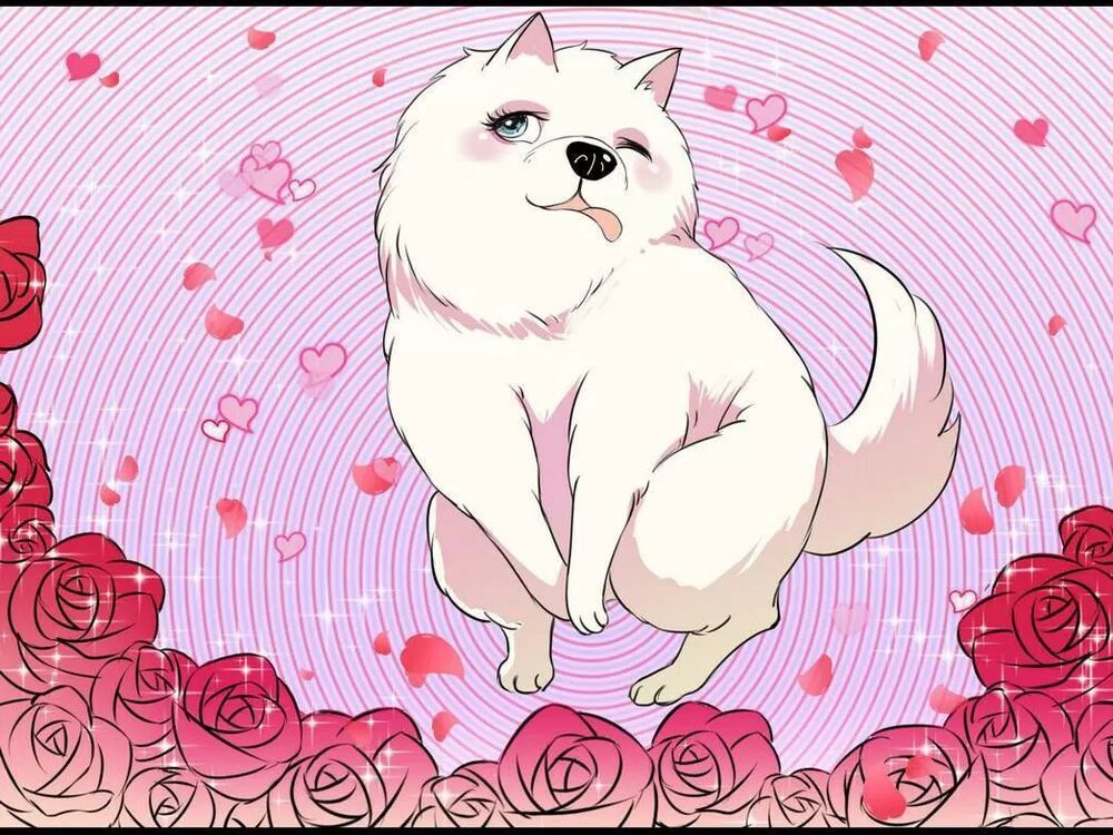 một con chó chapter 53 8