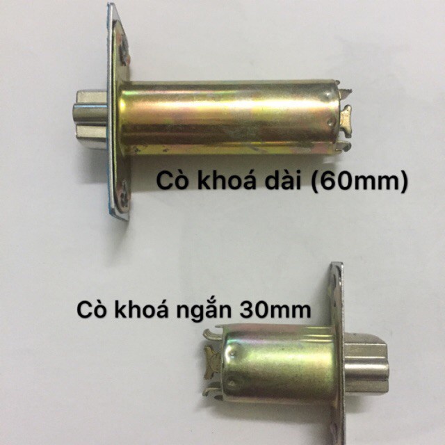 Cò khóa cửa phòng