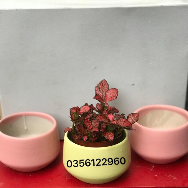 Chậu sứ men mát trồng cây Kt khoảng 7cm màu sắc tuỳ chọn