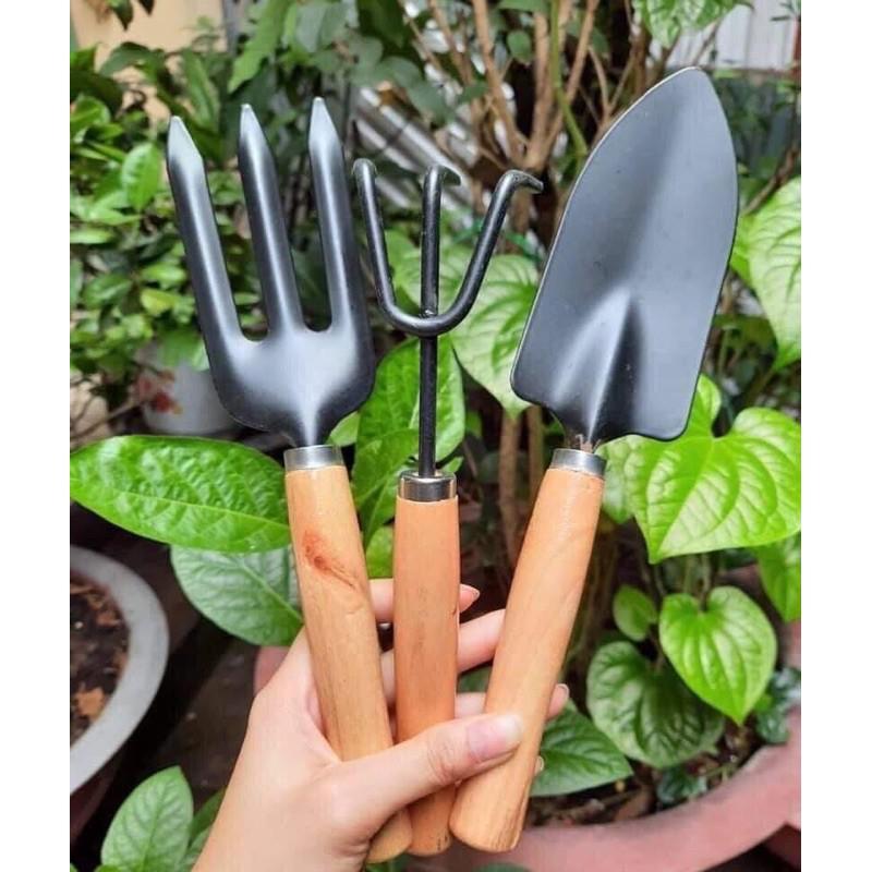 Bộ dụng cụ làm vườn 3 món 30 nghìn.