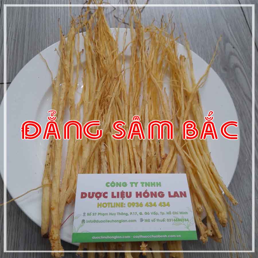 500g Đẳng Sâm Bắc loại 1 loại to đều